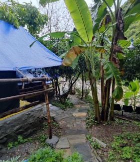 Vijaypur Other | Hobo Rivercamp