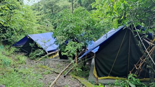 Vijaypur Other | Hobo Rivercamp