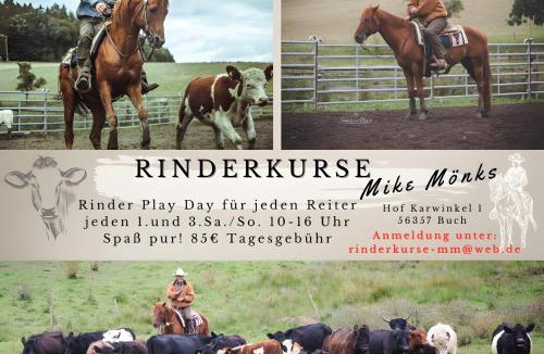 Buch Apartment | Hof Sorgenfrei