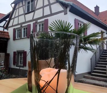 Ilbesheim House | Hofgarten Rosa