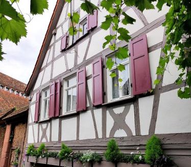 Ilbesheim House | Hofgarten Rosa