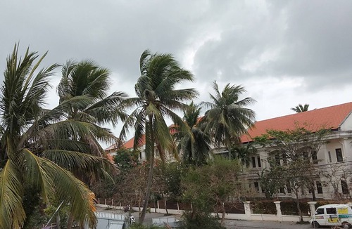 Hoi An House | Hoi An New Life Homestay & Villa