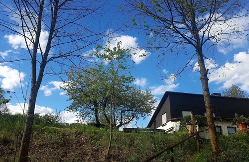 Hallenberg Apartment | Holiday Apartment 'Sauerland Alm Winterberg' with Private Pool, Private Terrace and Wi-Fi