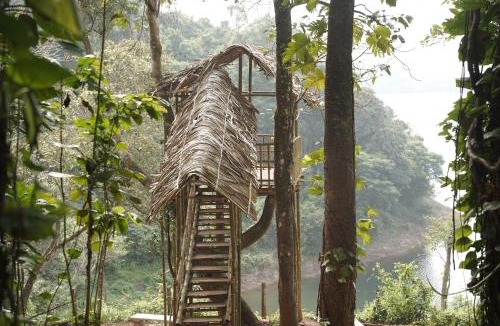 Vayittiri Hotel | Holiday Courtyard Wayanad