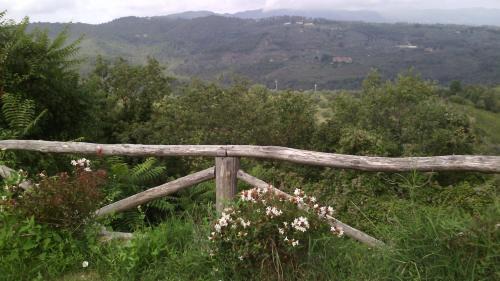 Moncioni House | Holiday home Belvedere