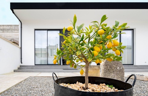 Melendugno Apartment | Holiday Home 'Uno' with Shared Terrace, Wi-Fi and Air Conditioning