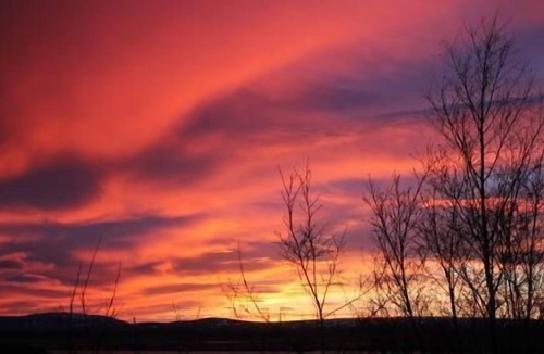 Laugaras House | Holiday house Reykholt for 1 - 4 persons with 2 bedrooms - Holiday home