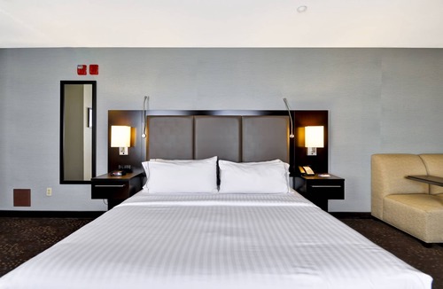 Romulus Hotel | Holiday Inn Express Romulus/Detroit Airport by IHG