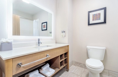 Whitehaven Hotel | Holiday Inn Express & Suites Memphis Arpt Elvis Presley Blv by IHG
