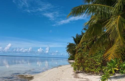 Laamu Atoll House | Holiday Villa
