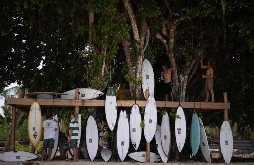 Katiet Resort | Hollow Tree's Resort