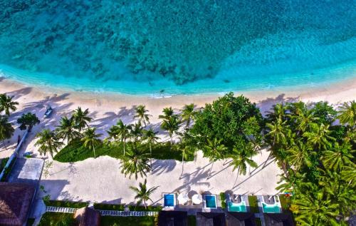 Katiet Resort | Hollow Tree's Resort