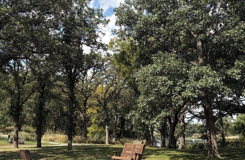 Coon Rapids Cottage | Hollyhock Cottage at Whiterock Conservancy