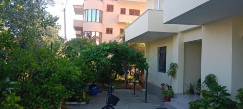 Kamez House | Home