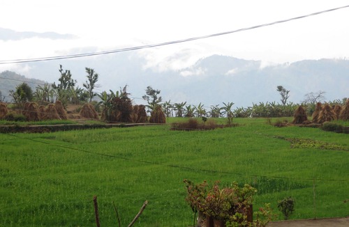 Pithoragarh House | HOME FOR YOU -