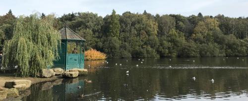 Chapeltown House | Home