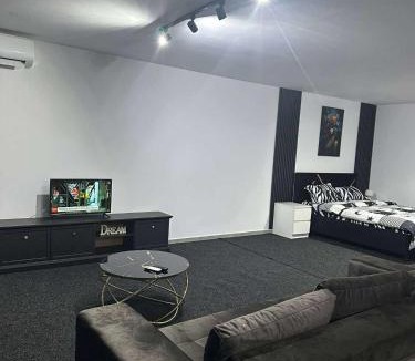 Simnicu de Sus Apartment | Home No 7