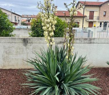 Padernello Apartment | HOME NUOVA OSTIGLIA