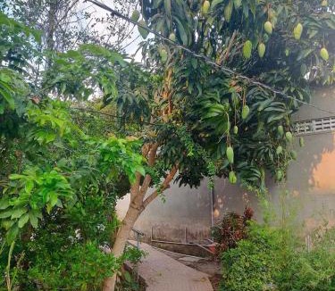 Vinh Long House | Home Vuon Dua