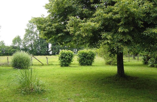 Plumont Apartment | Homerez - Charming Studio in Plumont with Private Garden - 50 m²