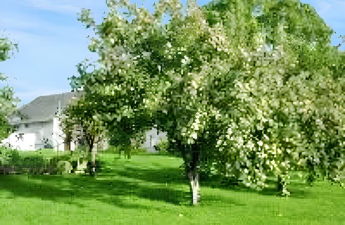 Gavray House | Homerez - House in Gavray-sur-Sienne
