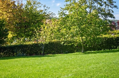 Ranrupt House | Homerez - House in Ranrupt