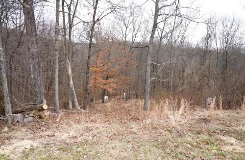 Watertown House | Honey Hole