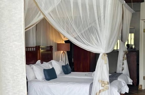 Mookgopong Other | Honeyguide Conservation Lodge