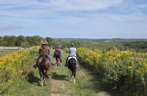 Tunnel RV Rental | Horse Motel RV Camping Tent Camping Horse Experiences PET FRIENDLY!