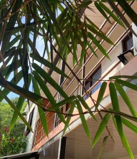 Dagua House | hospedaje ecopolis birds