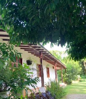 Dagua House | hospedaje ecopolis birds