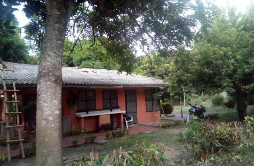Mata de Platano House | Hospedaje Eden