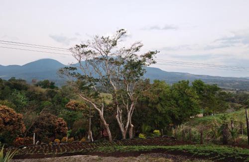 Rio Naranjo Apartment | Hospedaje La Guaca
