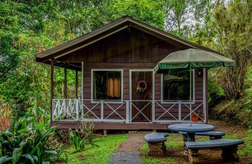 Santa Rosa Bed & Breakfast | Hospedaje La Naciente
