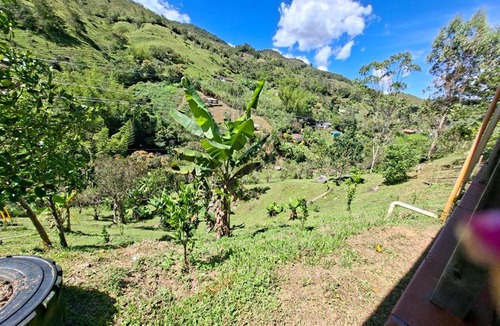 Concepcion Bed & Breakfast | HOSPEDAJE MARIN