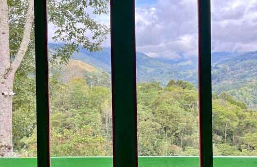 Salento House | Hostal Bamboo
