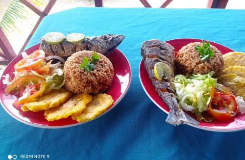 Monitos House | HOSTAL BELLEZA TROPICAL