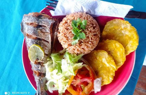 Monitos House | HOSTAL BELLEZA TROPICAL