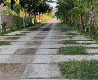 Nazca House | Hostal Bon