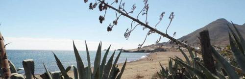 Los Escullos House | HOSTAL CASA EMILIO