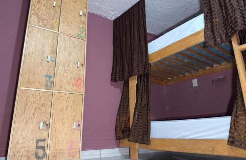 Centro House | Hostal el Alebrije