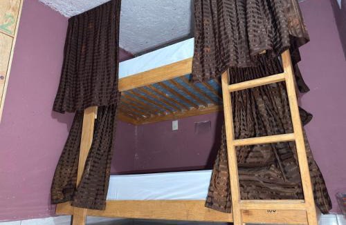 Centro House | Hostal el Alebrije