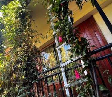 Angol House | Hostal Gina
