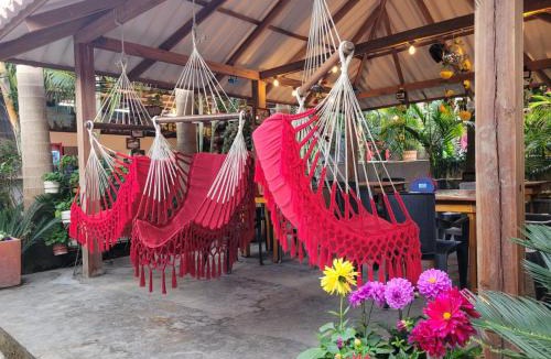 Salento Hostel | Hostal Hilltop Salento