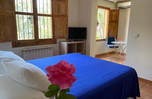 Pedregalejo House | Hostal Moscatel