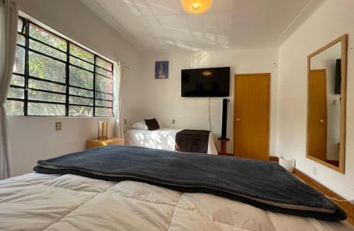 Hipodromo Bed & Breakfast | Hostal Roma Condesa