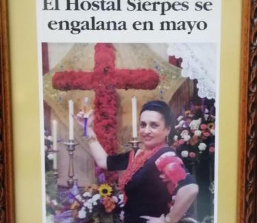 Alfalfa House | Hostal Sierpes