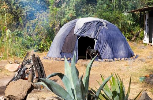 San Andres Hostel | Hostal Tribu Malinalco