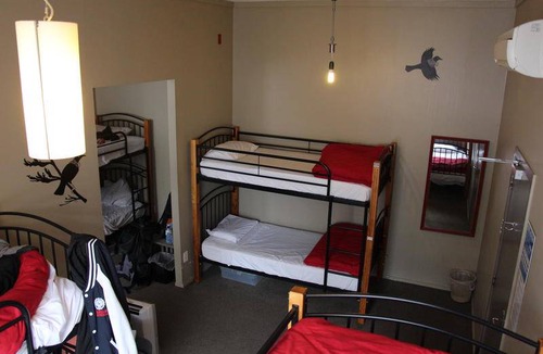 Dunedin City Centre Hostel | Hostel ∙ 8 guests