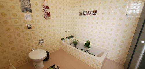 Bauru Hostel | Hostel Bauru